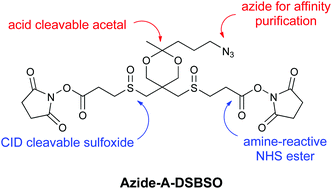 Graphical abstract: Synthesis of two new enrichable and MS-cleavable cross-linkers to define protein–protein interactions by mass spectrometry