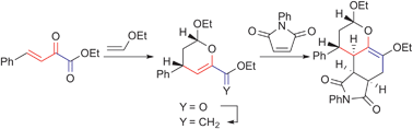 Graphical abstract: Stereo-controlled synthesis of polyheterocycles via the diene-transmissive hetero-Diels–Alder reaction of β,γ-unsaturated α-keto esters