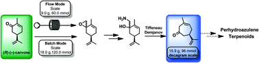 Graphical abstract: A practical deca-gram scale ring expansion of (R)-(−)-carvone to (R)-(+)-3-methyl-6-isopropenyl-cyclohept-3-enone-1