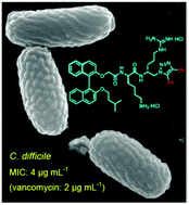 Graphical abstract: Binaphthyl-1,2,3-triazole peptidomimetics with activity against Clostridium difficile and other pathogenic bacteria