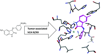 Graphical abstract: Discovery of novel isatin-based sulfonamides with potent and selective inhibition of the tumor-associated carbonic anhydrase isoforms IX and XII