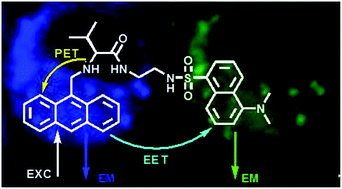 Graphical abstract: The synthesis of new fluorescent bichromophoric compounds as ratiometric pH probes for intracellular measurements