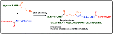 Graphical abstract: Evaluation of the antibacterial and antibiofilm activities of novel CRAMP–vancomycin conjugates with diverse linkers