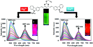 Graphical abstract: A bifunctional colorimetric fluorescent probe for Hg2+ and Cu2+ based on a carbazole–pyrimidine conjugate: chromogenic and fluorogenic recognition on TLC, silica-gel and filter paper