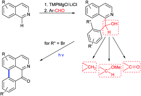 Graphical abstract: A divergent approach to benzylisoquinoline-type and oxoaporphine alkaloids via regioselective direct ring metalation of alkoxy isoquinolines