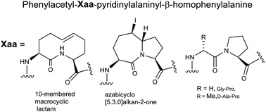 Graphical abstract: Investigation of the active turn geometry for the labour delaying activity of indolizidinone and azapeptide modulators of the prostaglandin F2α receptor