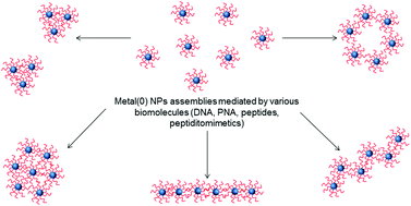 Graphical abstract: Aggregation of inorganic nanoparticles mediated by biomimetic oligomers