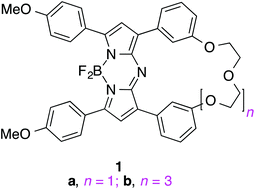 Graphical abstract: Oligoethylene glycol-substituted aza-BODIPY dyes as red emitting ER-probes