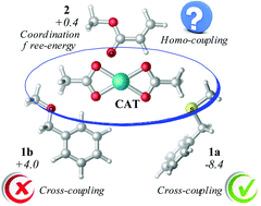 Graphical abstract: DFT studies on the directing group dependent arene–alkene cross-couplings: arene activation vs. alkene activation