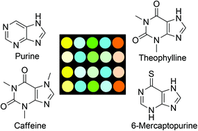 Graphical abstract: Array-based sensing of purine derivatives with fluorescent dyes