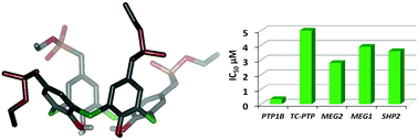 Graphical abstract: Phosphonate monoesters on a thiacalix[4]arene framework as potential inhibitors of protein tyrosine phosphatase 1B