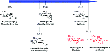 Graphical abstract: Stable analogues of nojirimycin – synthesis and biological evaluation of nojiristegine and manno-nojiristegine