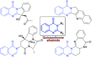 Graphical abstract: Recent developments in the chemistry of quinazolinone alkaloids