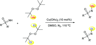 Graphical abstract: Copper-catalyzed N-methylation/ethylation of sulfoximines