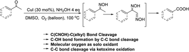 Graphical abstract: Copper catalyzed oxygen assisted C(CNOH)–C(alkyl) bond cleavage: a facile conversion of aryl/aralkyl/vinyl ketones to aromatic acids
