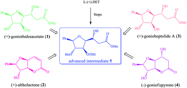 Graphical abstract: The first total synthesis of (+)-goniothalesacetate and syntheses of (+)-altholactone, (+)-gonioheptolide A, and (−)-goniofupyrone by an asymmetric acetate aldol approach