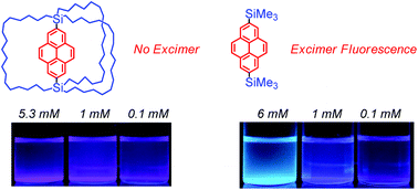 Graphical abstract: A pyrene-bridged macrocage showing no excimer fluorescence