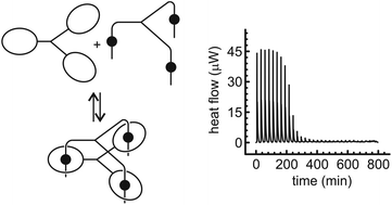 Graphical abstract: Chelate cooperativity effects on the formation of di- and trivalent pseudo[2]rotaxanes with diketopiperazine threads and tetralactam wheels