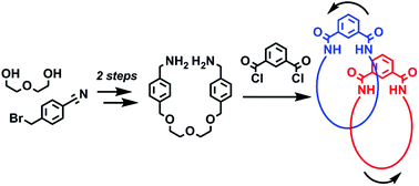 Graphical abstract: The rapid synthesis and dynamic behaviour of an isophthalamide [2]catenane