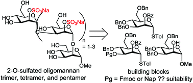 Graphical abstract: A concise synthesis of single components of partially sulfated oligomannans