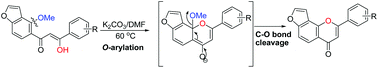 Graphical abstract: An efficient transformation of furano-hydroxychalcones to furanoflavones via base mediated intramolecular tandem O-arylation and C–O bond cleavage: a new approach for the synthesis of furanoflavones