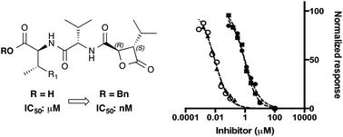 Graphical abstract: Total synthesis and absolute stereochemistry of the proteasome inhibitors cystargolides A and B