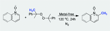 Graphical abstract: Metal-free methylation of a pyridine N-oxide C–H bond by using peroxides