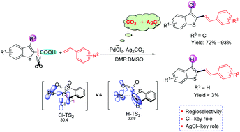 Graphical abstract: An efficient route to regioselective functionalization of benzo[b]thiophenes via palladium-catalyzed decarboxylative Heck coupling reactions: insights from experiment and computation