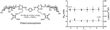 Graphical abstract: Does lipophilicity affect the effectiveness of a transmembrane anion transporter? Insight from squaramido-functionalized bis(choloyl) conjugates