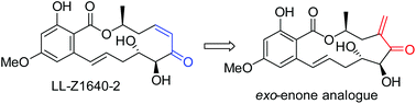 Graphical abstract: An efficient synthesis of an exo-enone analogue of LL-Z1640-2 and evaluation of its protein kinase inhibitory activities