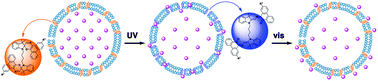 Graphical abstract: Photocontrol of ion permeation in lipid vesicles with (bola)amphiphilic spirooxazines