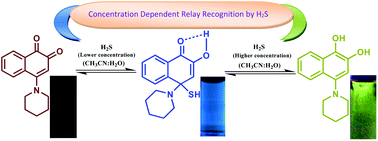 Graphical abstract: A concentration dependent auto-relay-recognition by the same analyte: a dual fluorescence switch-on by hydrogen sulfide via Michael addition followed by reduction and staining for bio-activity