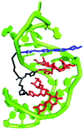 Graphical abstract: Multivalency in the recognition and antagonism of a HIV TAR RNA–TAT assembly using an aminoglycoside benzimidazole scaffold