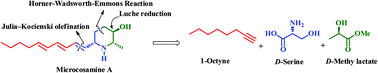 Graphical abstract: Total synthesis of a piperidine alkaloid, microcosamine A