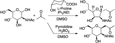 Graphical abstract: Direct synthesis of C-glycosides from unprotected 2-N-acyl-aldohexoses via aldol condensation–oxa-Michael reactions with unactivated ketones