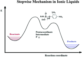 Graphical abstract: Reaction mechanisms in ionic liquids: the kinetics and mechanism of the reaction of O,O-diethyl (2,4-dinitrophenyl) phosphate triester with secondary alicyclic amines