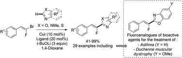 Graphical abstract: Copper-catalyzed direct C–H fluoroalkenylation of heteroarenes