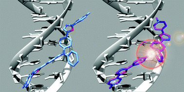 Graphical abstract: Influence of the oxazole ring connection on the fluorescence of oxazoyl-triphenylamine biphotonic DNA probes