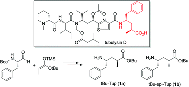 Graphical abstract: A concise synthesis of tubuphenylalanine and epi-tubuphenylalanine via a diastereoselective Mukaiyama aldol reaction of silyl ketene acetal