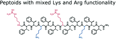 Graphical abstract: A practical method for the synthesis of peptoids containing both lysine-type and arginine-type monomers