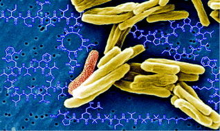 Graphical abstract: Synthesis and bioactivity of antitubercular peptides and peptidomimetics: an update