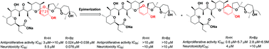 Graphical abstract: Structure–activity & structure–toxicity relationship study of salinomycin diastereoisomers and their benzoylated derivatives