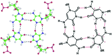 Graphical abstract: A novel pyrimidine tetrad contributing to stabilize tetramolecular G-quadruplex structures