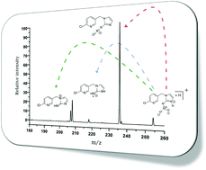 Graphical abstract: Structure of olefin–imidacloprid and gas-phase fragmentation chemistry of its protonated form