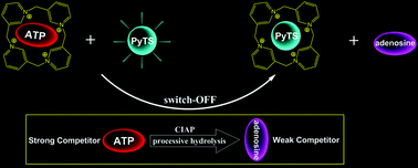Graphical abstract: A calixpyridinium-based supramolecular tandem assay for alkaline phosphatase and its application to ATP hydrolysis reaction