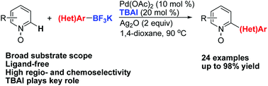 Graphical abstract: Palladium-catalyzed direct C–H arylation of pyridine N-oxides with potassium aryl- and heteroaryltrifluoroborates