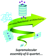 Graphical abstract: Functional architectures derived from guanine quartets