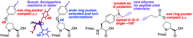 Graphical abstract: 4R- and 4S-iodophenyl hydroxyproline, 4R-pentynoyl hydroxyproline, and S-propargyl-4-thiolphenylalanine: conformationally biased and tunable amino acids for bioorthogonal reactions