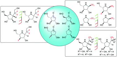 Graphical abstract: Gem-difluoromethylated and trifluoromethylated derivatives of DMDP-related iminosugars: synthesis and glycosidase inhibition