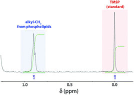 Graphical abstract: Simple and rapid quantification of phospholipids for supramolecular membrane transport assays